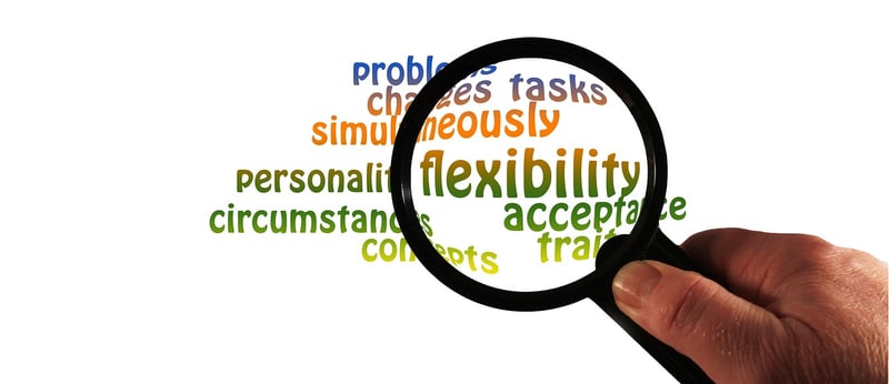 Flexibility